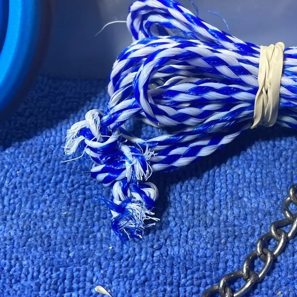 Dog Training Collar And Collapsable Bowl